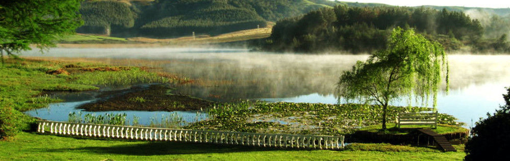 Hotel Beacon Vlei Guest farm à Balgowan Extérieur photo